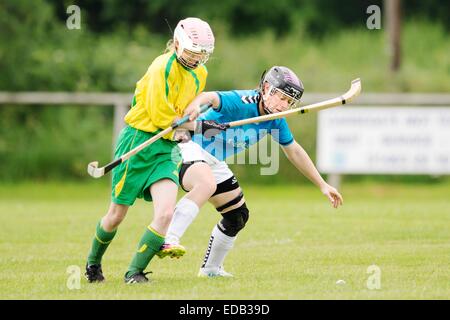 2014 Valerie Fraser Camanachd Cup semi finale pour les femmes, Glengarry v Skye, joué à Balgate, Kiltarlity. Banque D'Images