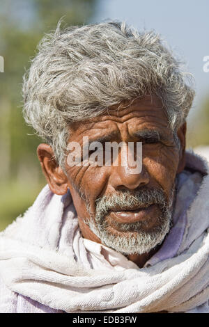L'Asie, l'Inde, Karnataka, Somnathpur, Portrait d'un agriculteur indien Banque D'Images