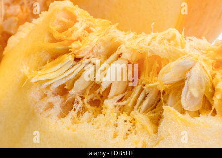 Close up de graines de citrouille et la chair d'un potiron coupé. Une alimentation saine et nutritive et utilisé pour les sculptures de l'Halloween. Banque D'Images