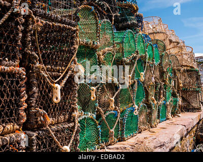 Des casiers à homard sur le quai à Brixham, Devon Banque D'Images