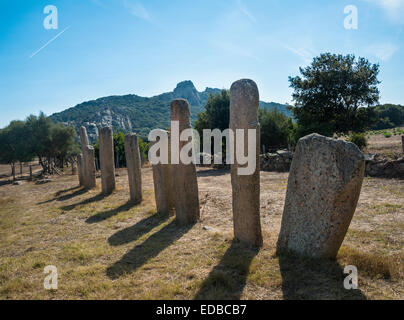 Des vestiges préhistoriques d'I Stantari, l'alignement de menhirs, I Stantari, site archéologique, néolithique, Cauria, Fontanaccia Banque D'Images