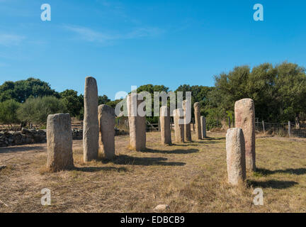 Des vestiges préhistoriques d'I Stantari, l'alignement de menhirs, I Stantari, site archéologique, néolithique, Cauria, Fontanaccia Banque D'Images