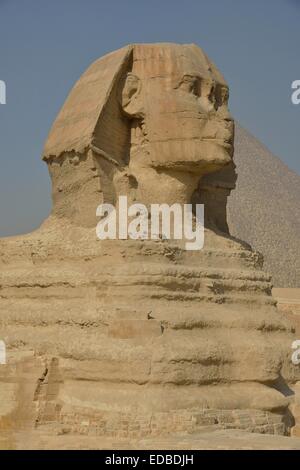 Sphinx ou grand Sphinx de Gizeh, lion à tête humaine, construit au 4ème dynastie égyptienne autour de 2700 avant J.-C., en face de la Banque D'Images