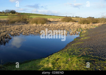 Chartreuse de plomb les étangs, collines de Mendip, Somerset Banque D'Images