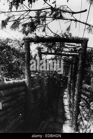 Front de l'Ouest, Allemagne - France, 1916. Banque D'Images