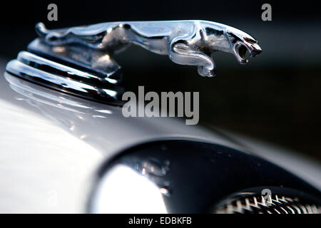 Sur la photo : l'emblème de l'entreprise automobile Jaguar Banque D'Images