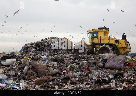 Un bulldozer piles déchets dans un site d'enfouissement près de Cambridge. Banque D'Images