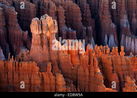 Rock formations, Hoodoos, Bryce Canyon National Park, Utah, United States Banque D'Images