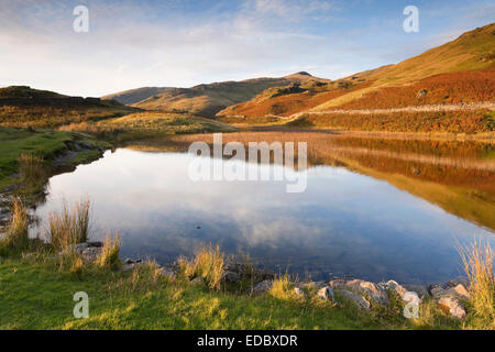 Grand Rigg reflète dans Alcock Tarn, Cumbria, Royaume-Uni Banque D'Images