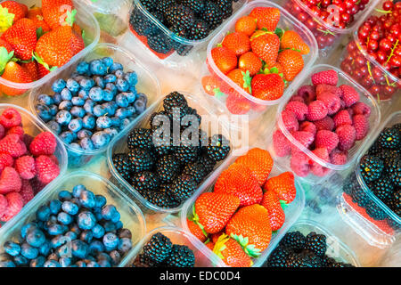 Les petits fruits en boîtes. Banque D'Images