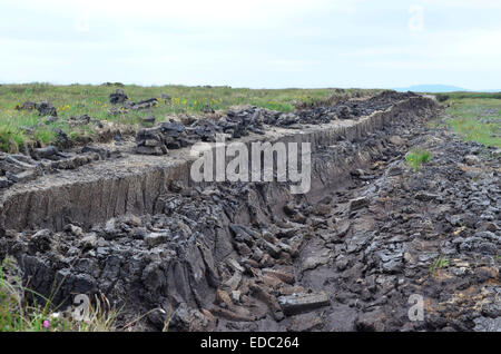 Un champ de tourbe qui est utilisé dans le processus de décisions, Islay Whisky Laphroaig, Ecosse Banque D'Images