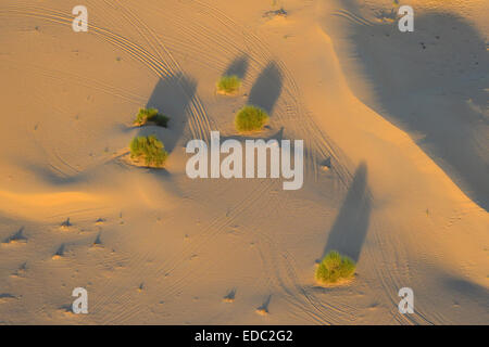 Dubai Desert en Ballon Banque D'Images