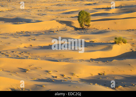 Dubai Desert en Ballon Banque D'Images