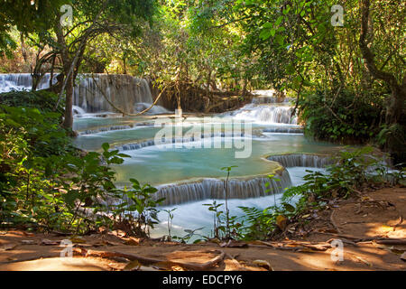 Le travertin cascades et piscines bleu turquoise de la chutes de Kuang Si / Kuang Xi / Tat Cascades de Kuang Si près de Luang Prabang, Laos Banque D'Images