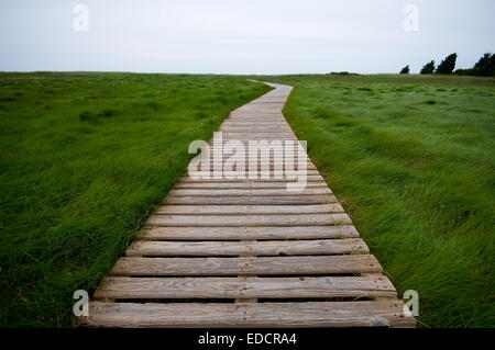 Cape Cod Boardwalk. Banque D'Images