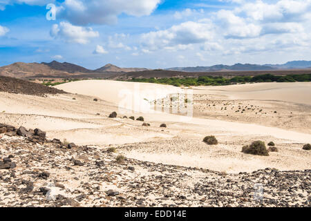 Dunes de sable dans le désert de Viana - Deserto de Viana dans Boavista - Cap-Vert - Cabo Verde Banque D'Images
