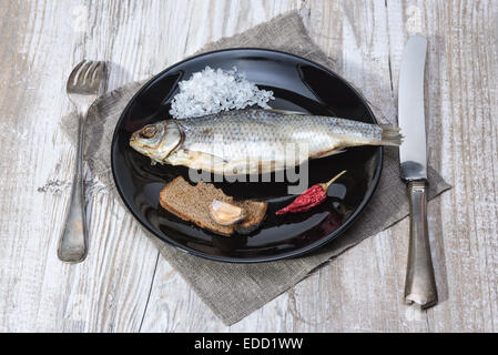 Stock-fish - roach sur une plaque noire - installation Vintage Banque D'Images