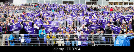 Baltimore, Maryland, USA. 28 Dec, 2014. Baltimore Ravens fans avant le match contre les Browns de Cleveland le 28 décembre 2014 à M&T Bank Stadium. © Debby Wong/ZUMA/Alamy Fil Live News Banque D'Images