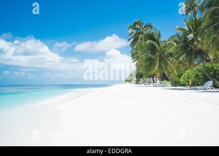 Maldives, Ari Atoll, vue de rêve creux plage avec palmiers et des chaises longues Banque D'Images