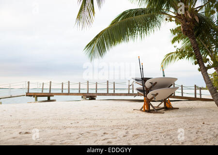 Surfboards on tropical beach Banque D'Images