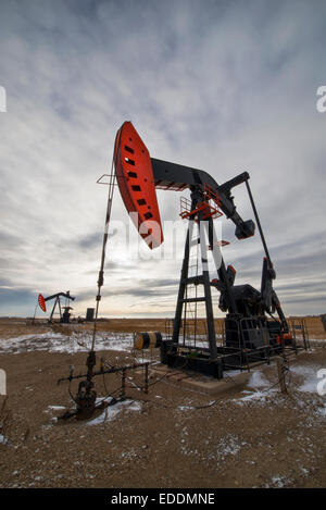 Une pompe à huile jack à un site de forage pour le pétrole, un champ de pétrole en Saskatchewan. Banque D'Images