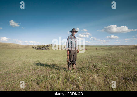 Roundup printemps. Un cowboy de travail dans la plaine. Un troupeau de bovins. Banque D'Images