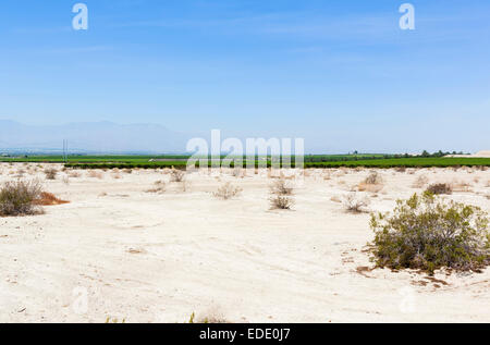 Le contraste entre le désert et les terres agricoles irriguées de la Vallée impériale, Imperial County, Californie, USA Banque D'Images