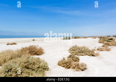 Salton Sea State Recreation Area, Imperial County, Californie, USA Banque D'Images