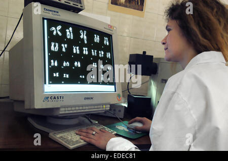 L'Université de Milan (Italie), département de biologie et de la génétique, l'analyse des chromosomes Banque D'Images