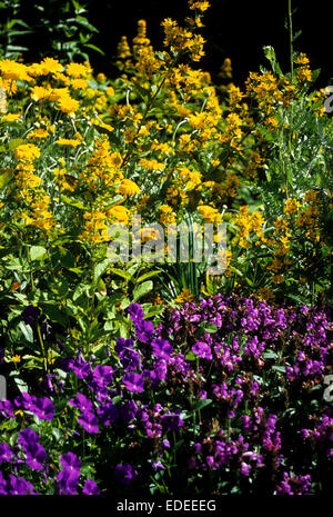 Des images documentaires de la Botanical Gardens Sheffield Banque D'Images