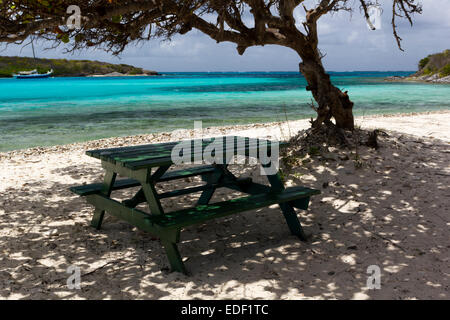 Table de pique-nique sous un arbre sur une plage tranquille à Petit Bateau, avec la location ou la location, et de l'Océan turquoise des Caraïbes ; Tobago Cays. Banque D'Images