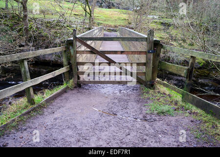 Une passerelle au-dessus de la rivière Swale à Keld dans Swaledale, Yorkshire Dales National Park. Banque D'Images