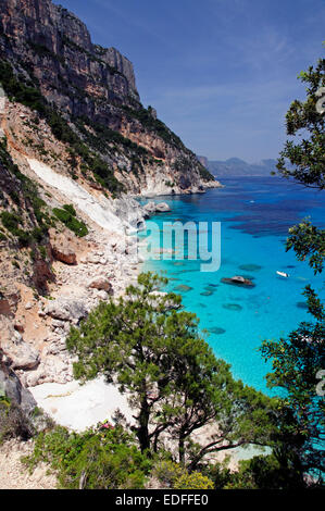 Les falaises de la côte et à la plage de Cala Goloritze, Baunei coast, Orosei Golfe, Sardaigne, Italie, Europe. Banque D'Images