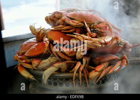 FISHERMANS WHARF CRAB Dungeness crabes à Fisherman's Wharf Grotto Embarcadero San Francisco California USA Banque D'Images