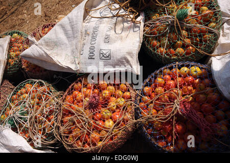 Des tomates pour la vente au marché, le Chhattisgarh, Tokapal Madyha Pradesh, Inde Banque D'Images