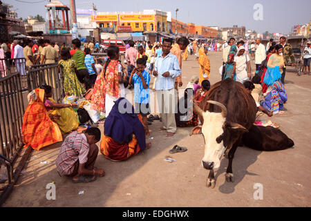 Les pèlerins à l'extérieur de l'entrée est de la Jagannath Temple, Puri, Inde Banque D'Images