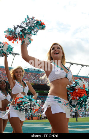 Jardins de Miami en Floride, USA. Dec 21, 2014. Miami Dolphins Cheerleaders en action au cours de la NFL football match entre les dauphins de Miami et du Minnesota Vikings au Sun Life Stadium de Miami Gardens FL. © csm/Alamy Live News Banque D'Images