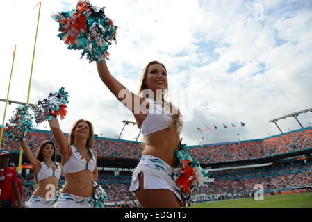 Jardins de Miami en Floride, USA. Dec 21, 2014. Miami Dolphins Cheerleaders en action au cours de la NFL football match entre les dauphins de Miami et du Minnesota Vikings au Sun Life Stadium de Miami Gardens FL. © csm/Alamy Live News Banque D'Images