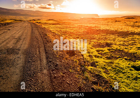 Route de gravier à travers un paysage aride de Westfjords en Islande Banque D'Images