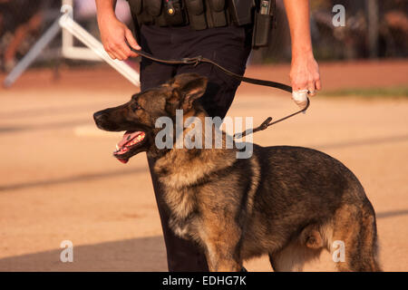 Service de police de Greenfield Wisconsin K-9 et l'agent de police Banque D'Images