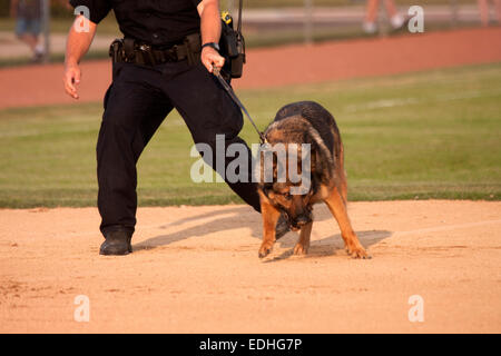 Service de police de Greenfield Wisconsin K-9 et l'agent de police Banque D'Images