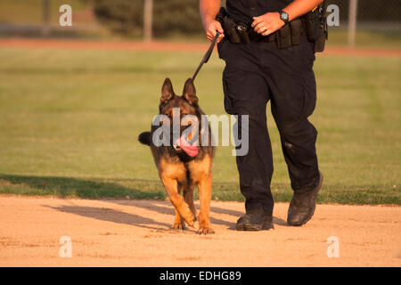 Service de police de Greenfield Wisconsin K-9 et l'agent de police Banque D'Images