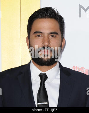 Los Angeles, Californie, USA. 6 janvier, 2015. Ignacio Serricchio participant à la Los Angeles Première de ''The Ringer Mariage'' tenue à l'Théâtre chinois de Grauman à Hollywood, Californie le 6 janvier 2015. 2015 : Crédit D. Long/Globe Photos/ZUMA/Alamy Fil Live News Banque D'Images