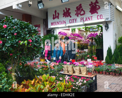 Hong Kong - marché aux fleurs à Mong Kok Banque D'Images