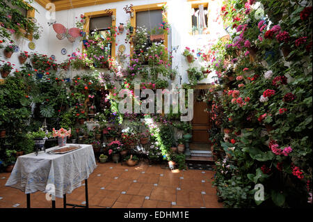 Cour intérieure pendant le Festival des patios (el Festival de Los Patios Cordobeses), Cordoue, Espagne Banque D'Images