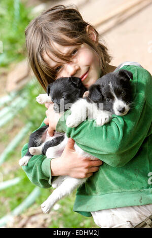 Deux chiots Border collie chien dans les bras Lucky enfant heureux chiot fille dans ses câlins Banque D'Images