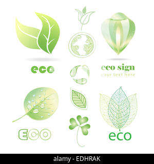 Eco green set avec des feuilles sur fond blanc Banque D'Images