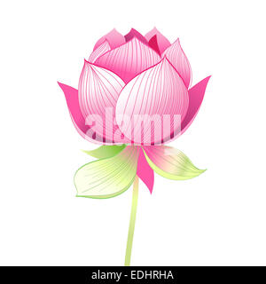 Graphiques lumineux belle fleur de lotus sur fond blanc Banque D'Images