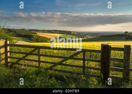 La vallée de York de Thixendale sur le Yorkshire Wolds. Banque D'Images