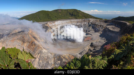 Volcan Poas avec panache, Laguna Caliente crater lake, Parc National du Volcan Poás, Province d'Alajuela, Costa Rica Banque D'Images